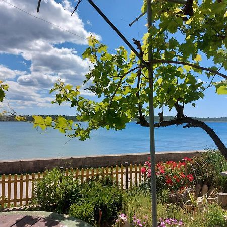 Apartmani Seaview Ljubač エクステリア 写真