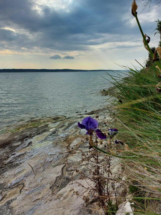 Apartmani Seaview Ljubač エクステリア 写真