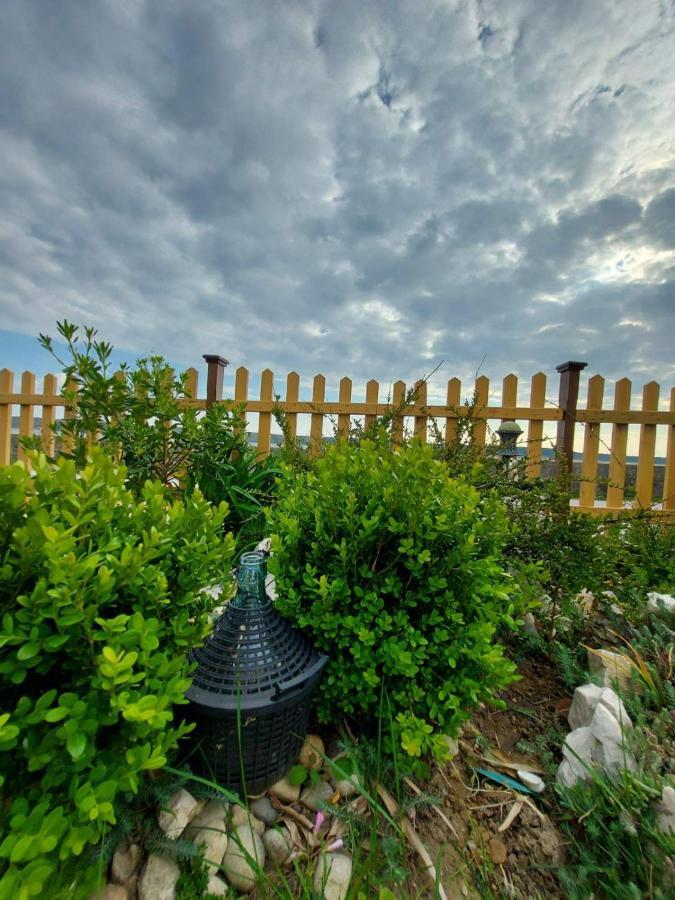 Apartmani Seaview Ljubač エクステリア 写真